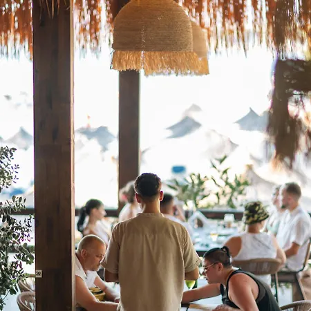 Delight 卡萨米尔