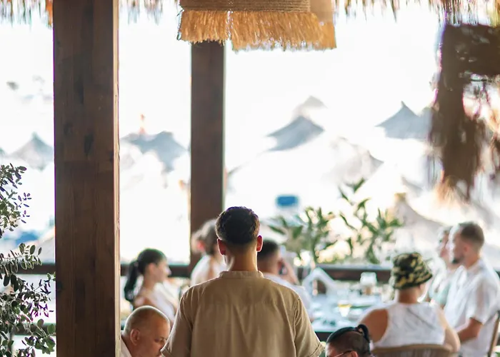 Delight 卡萨米尔